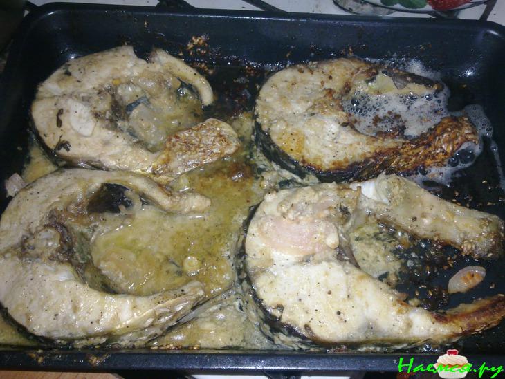 "Пеленгасимус"