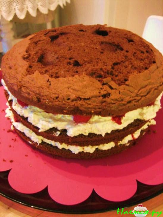 Торт 'Лилия'