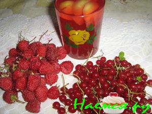 Компот 'Лето на даче'