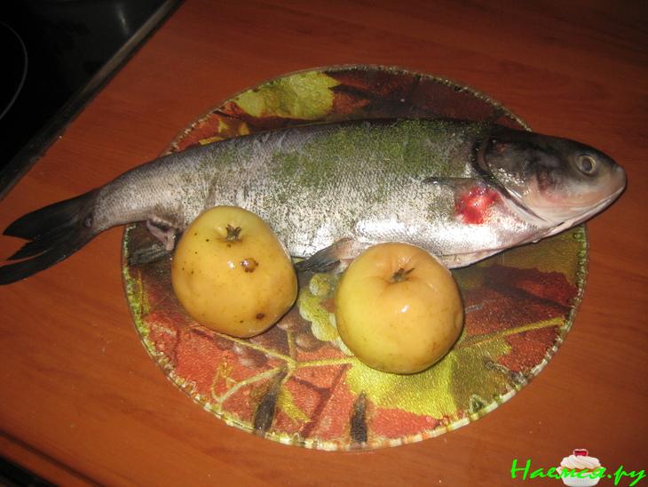 Запеченный толстолобик с мочеными яблоками