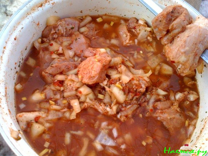 Шашлык быстрый