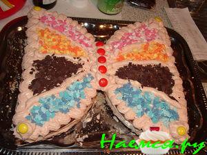 Одна из тысяч бабочек