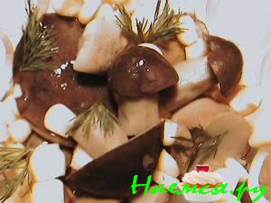 Закуска грибная под водку