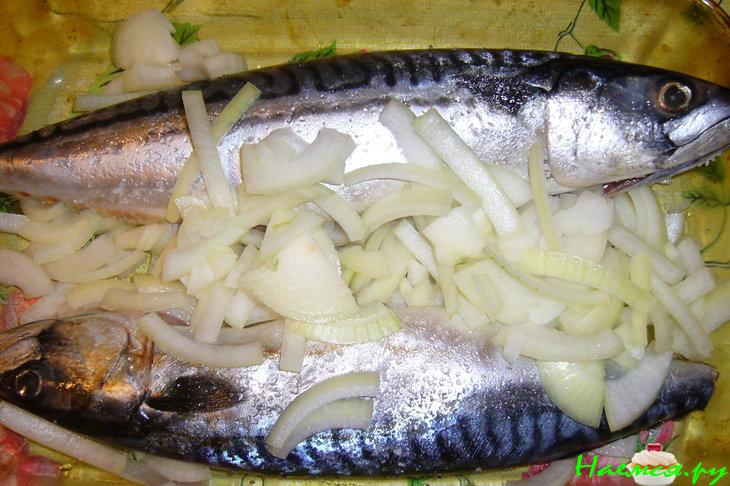 Скумбрия в рукаве на луковой подушке