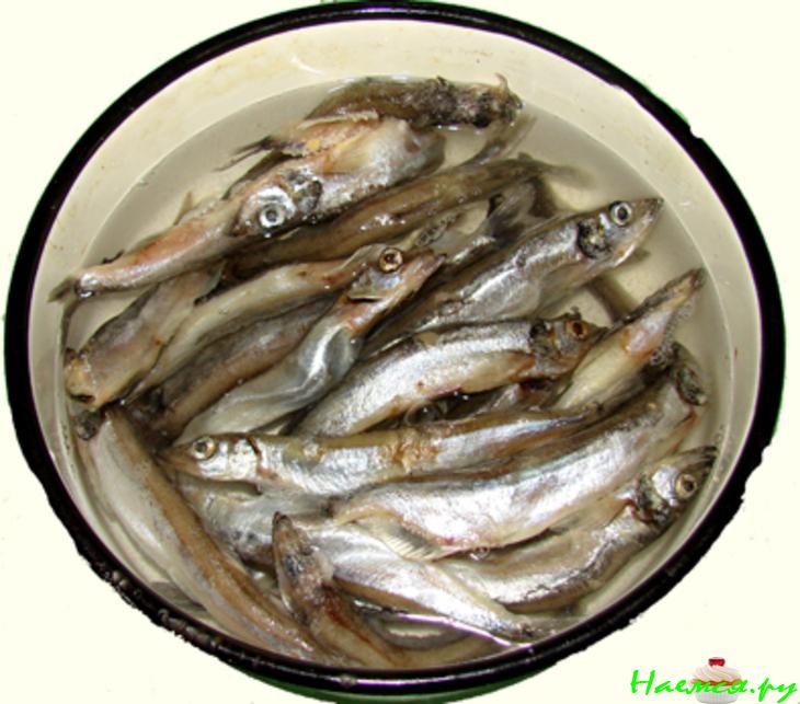 Рыбки хотите? Рыбки хотите?