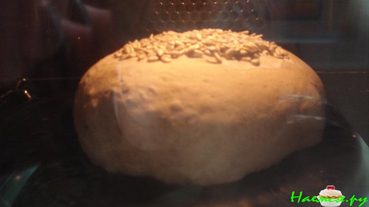 Хлебушек-подсолнушек