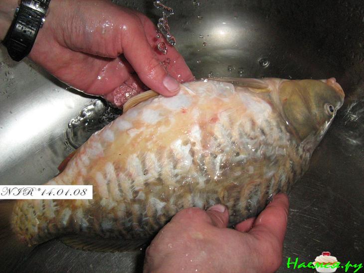 Карпуша Карпуша