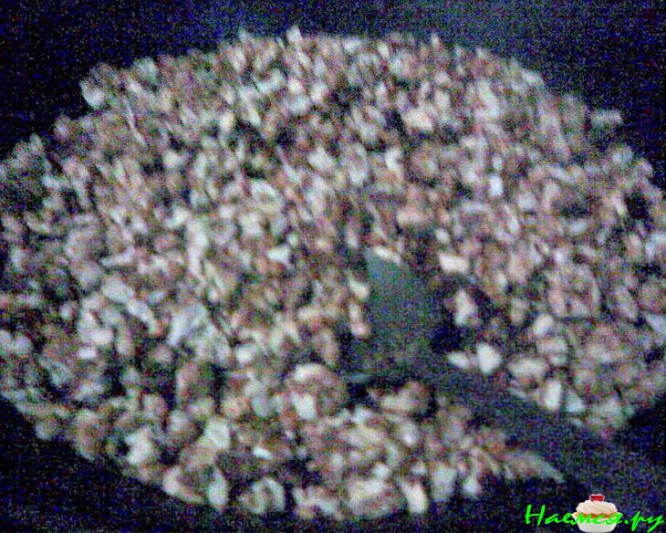 Постный пирог с халвой и орехами