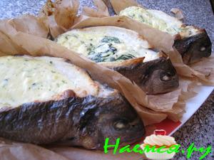 Дорада с начинкой из шпината