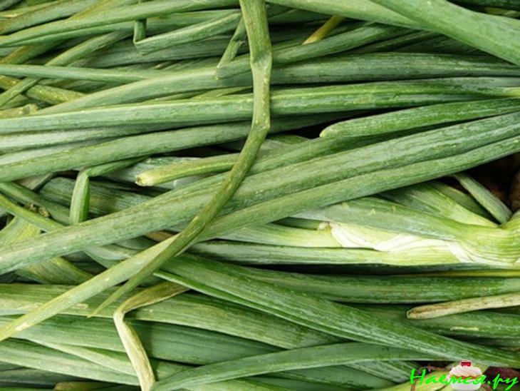 Пирожки с зеленым луком и яйцом Пирожки с зеленым луком и яйцом