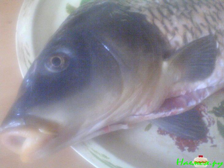 Карп "книжный" на подстилке из квашеной капусты