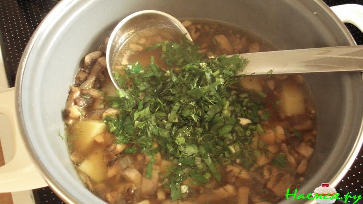 Суп "Грибная пора"