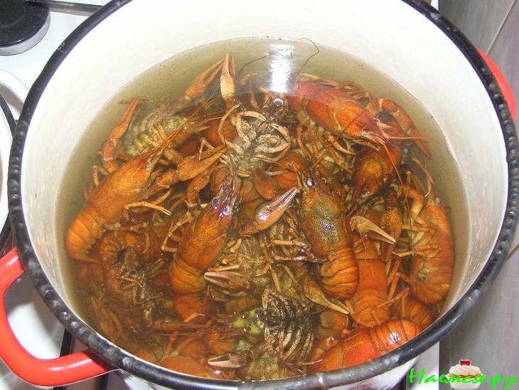 Раки в квасе Раки в квасе