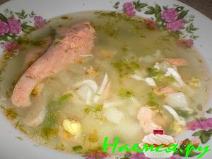 Рыбный суп с фенхелем и яйцом Рыбный суп с фенхелем и яйцом