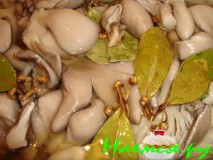 Маринованные вешенки