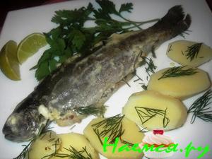 Форель запеченная с козьим сыром и зеленью