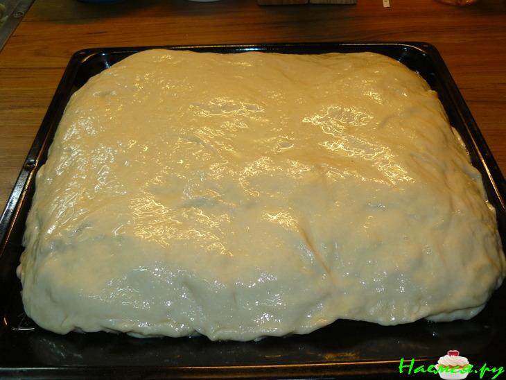 Рыбный пирог (тесто дрожжевое на сыворотке)