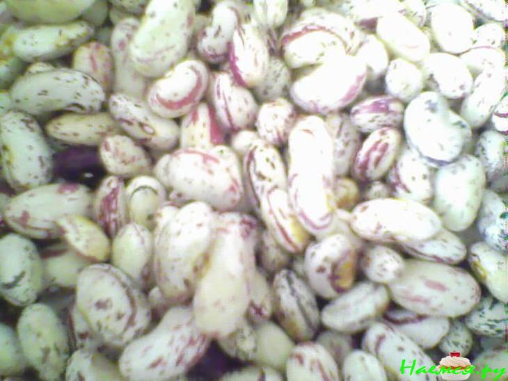 Барбунья (цветная фасоль)