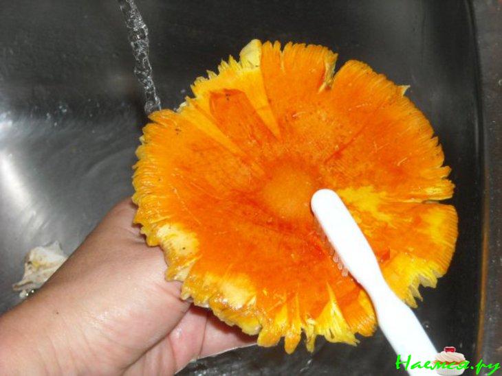 Салат из сырых кесаревых грибов