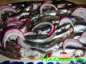 Хамса слабосоленая