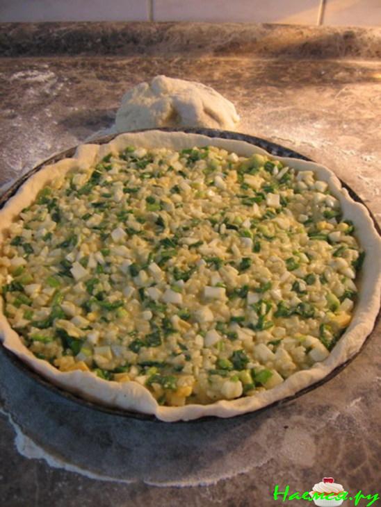 Пирог с зеленым луком и яйцом с рисом