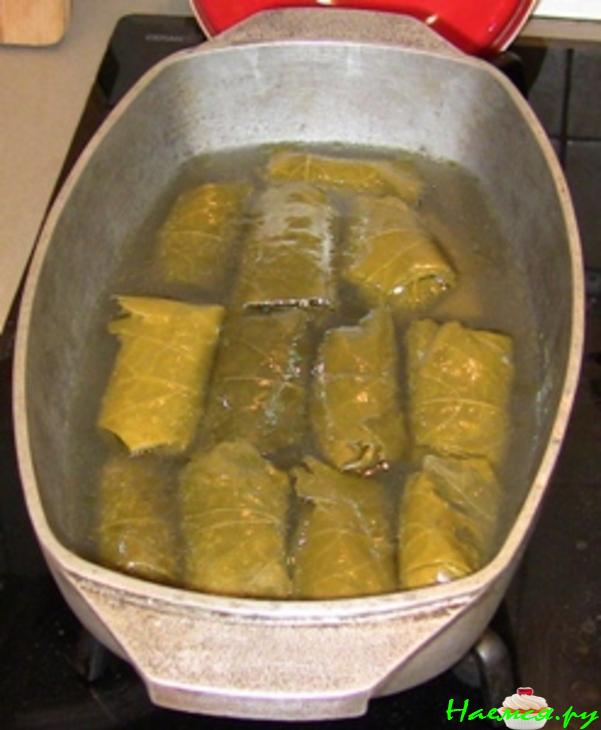 Долма в маринованных виноградных листьях