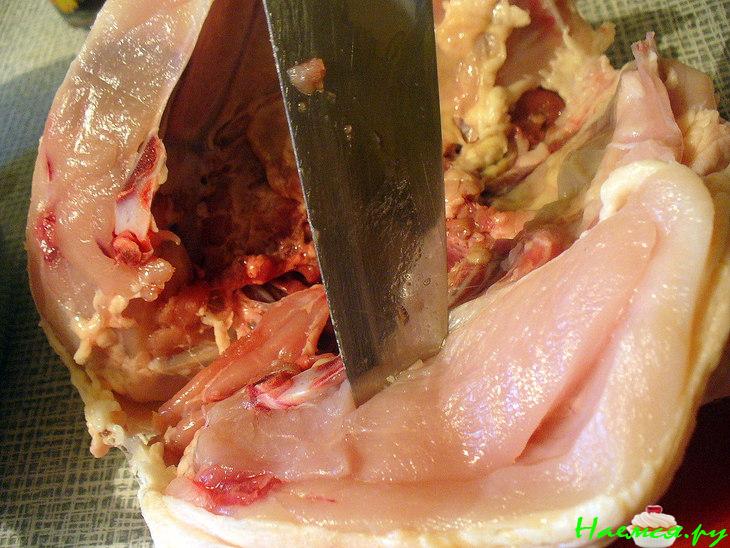 Курочка "Арабская"