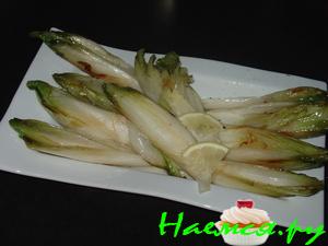 Медовый цикорий 