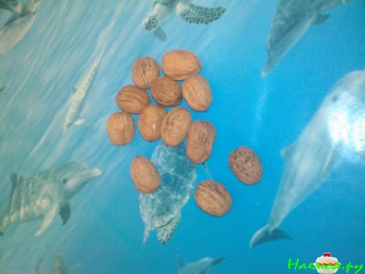 Настойка на перегородках грецкого ореха