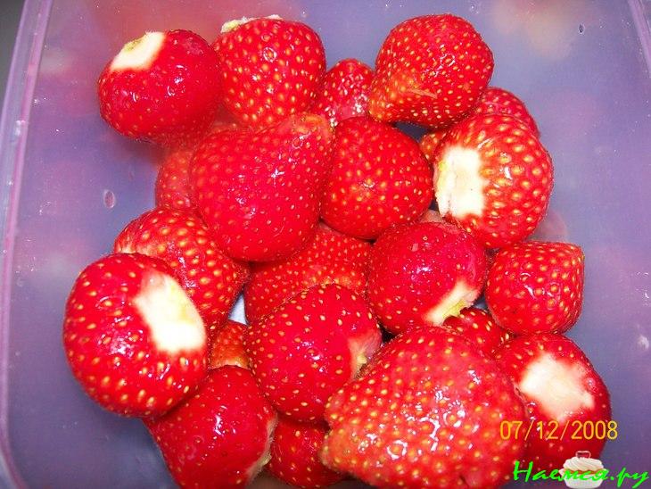 Коктейль "Летняя прохлада"