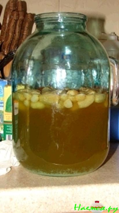 Домашнее вино Домашнее вино