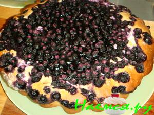 Твороженный пирог с черникой
