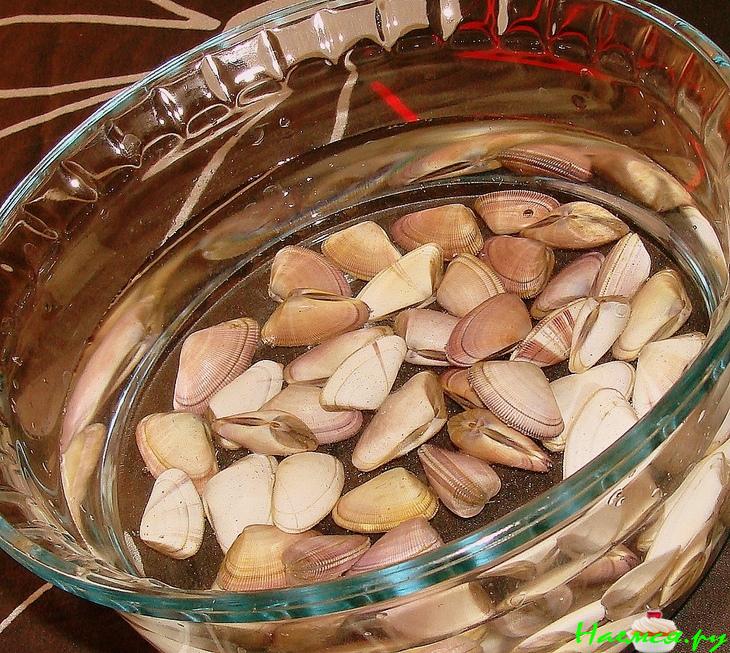 Паста с морскими ракушками (berberechos) и чернилами кальмара