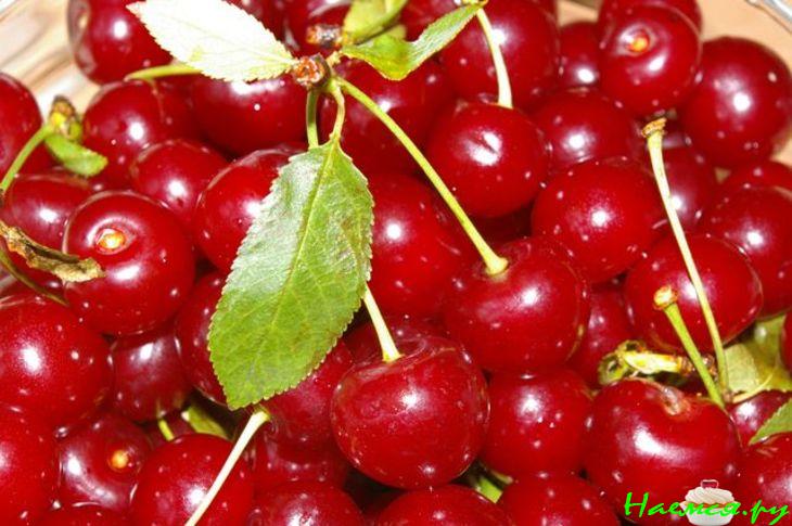 Бланманже "Красное на белом"