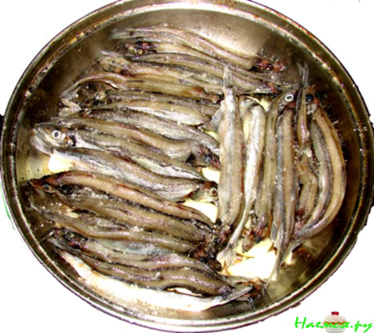 Рыбки хотите? Рыбки хотите?