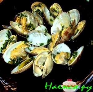 Морские ракушки