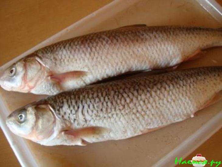 Плов с рыбой