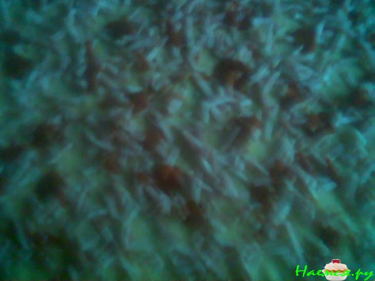 Пицца "Третьего дня"