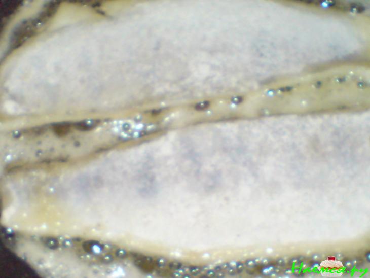 Судак под шафрано-креветочным соусом Судак под шафрано-креветочным соусом