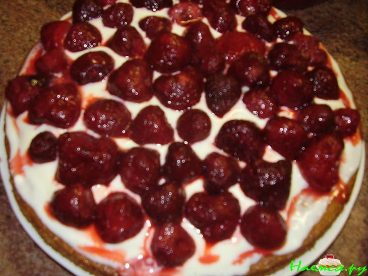 Торт 'Кудрявый Пудель'