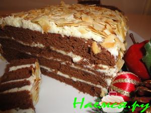 Торт "Шоколадное настроение" Торт "Шоколадное настроение"