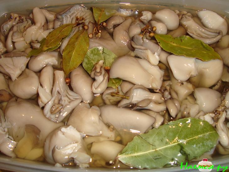 Маринованные вешенки