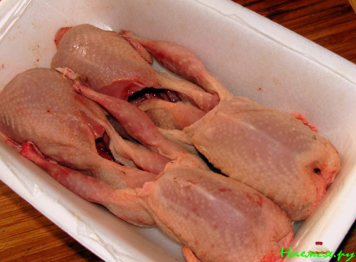 Перепела ... опять перепела Перепела ... опять перепела