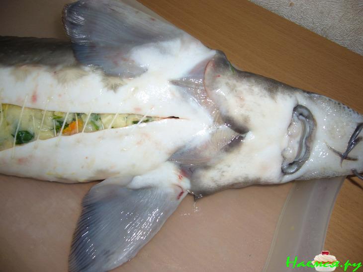 Осётр фаршированный