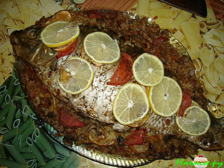 Карп Берковски