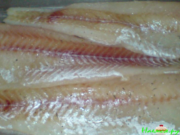 Рыба под сливочно-яичным соусом