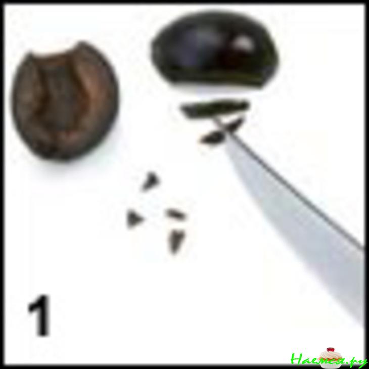 Арбузный бутербродик!