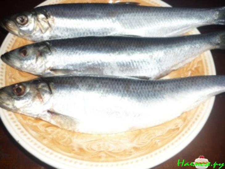 Рыбные консервы домашние Рыбные консервы домашние