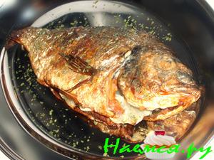 Орато солемарино