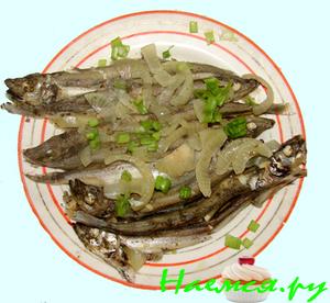 Рыбки хотите? Рыбки хотите?